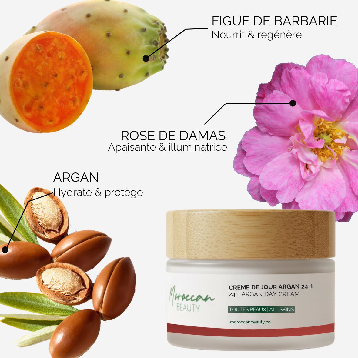 24h Argan Day Cream XL