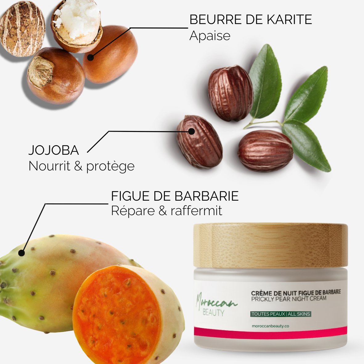 Firming Prickly Pear Night Cream XL